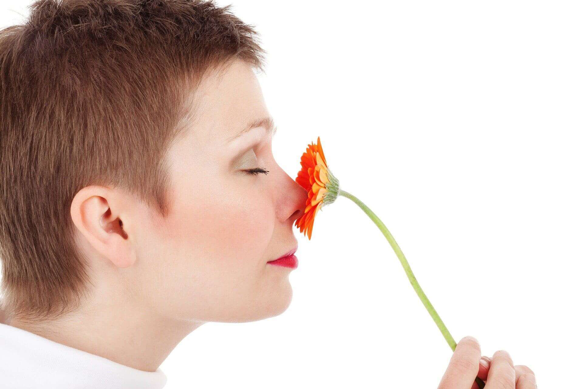 Viso di donna, trucco, natura, cosmesi