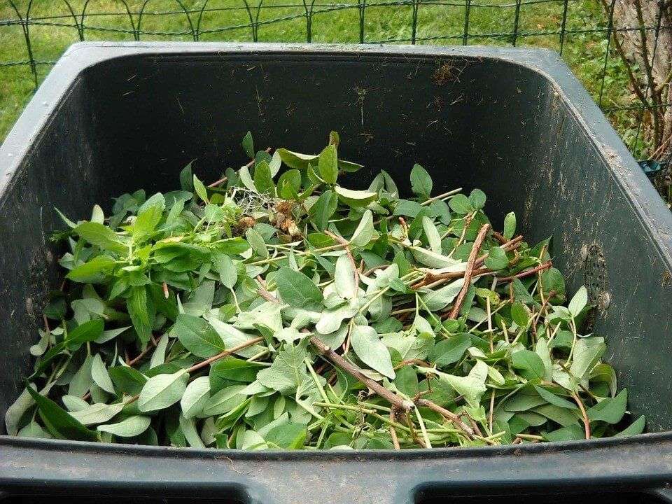 compostaggio