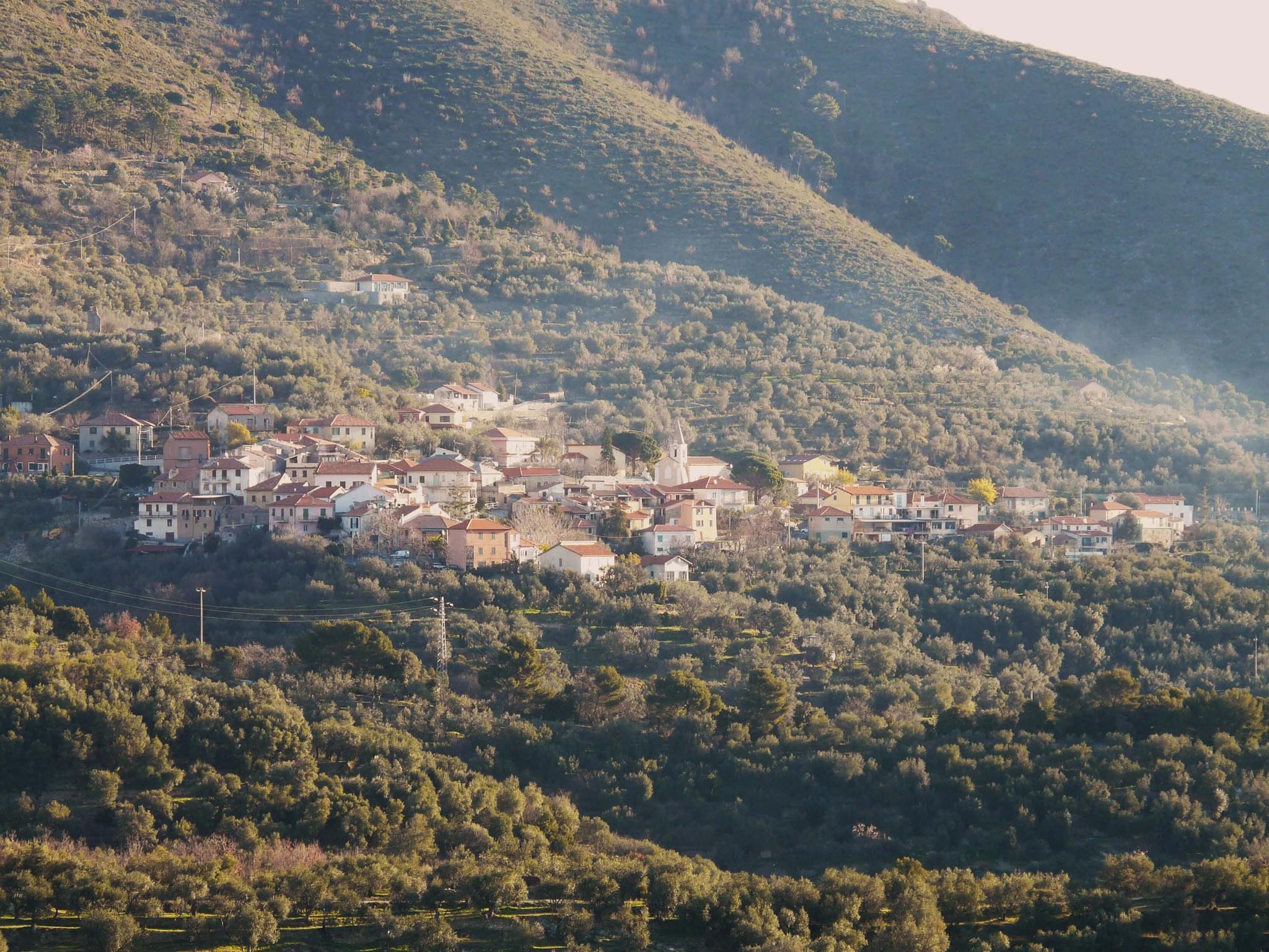 arnasco
