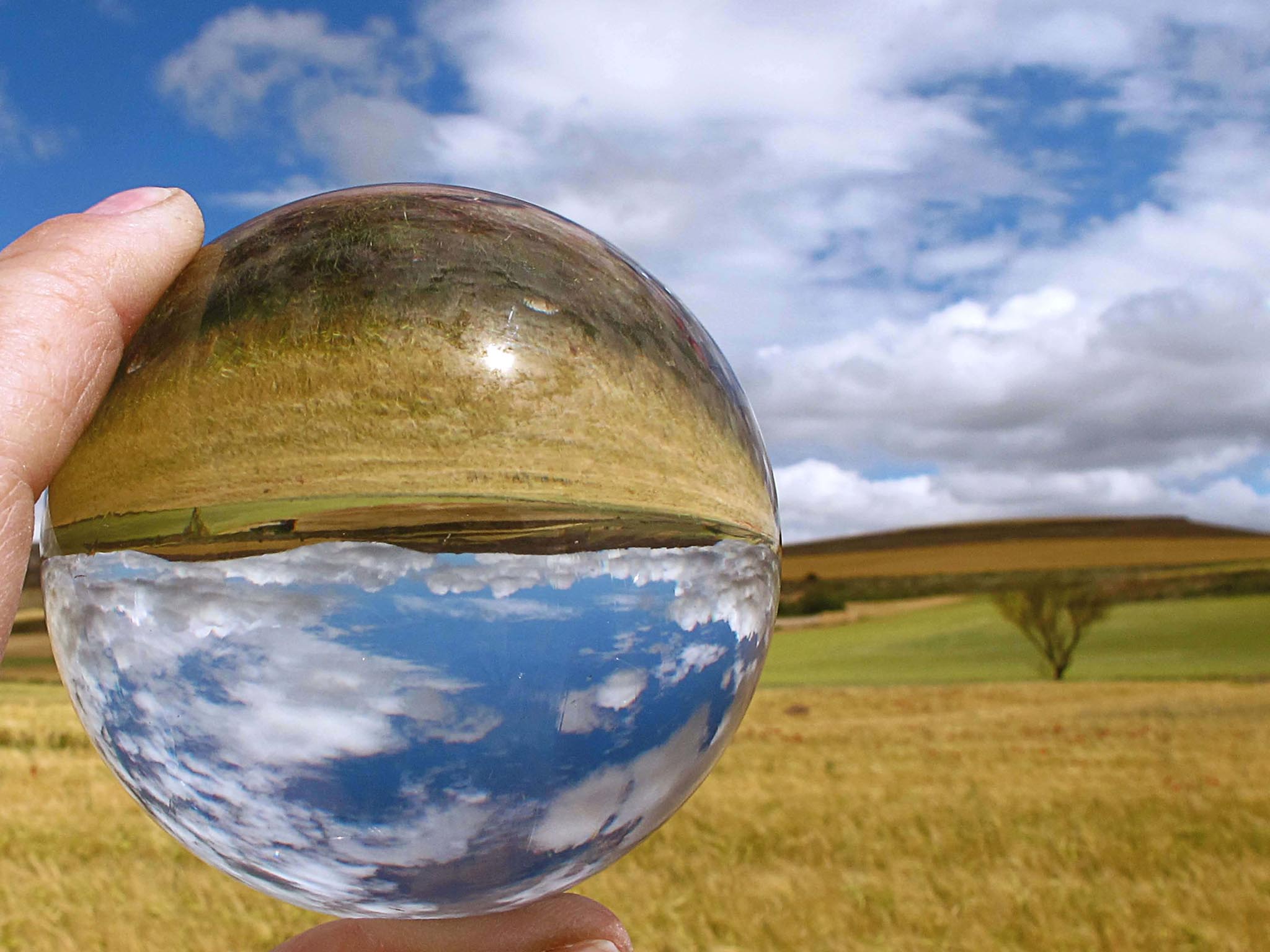 ecologia