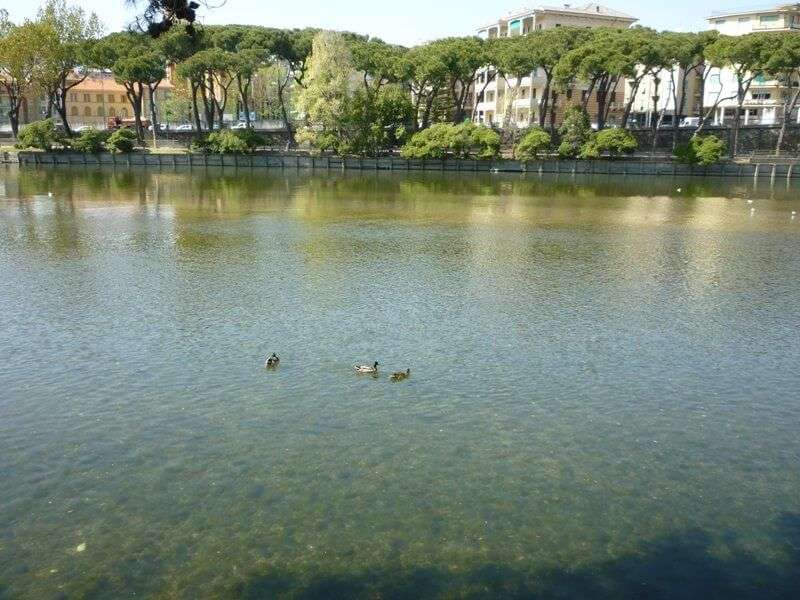 entella