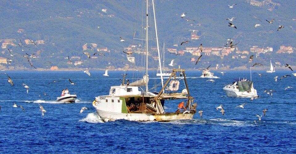 Pesca, pescatori, peschereccio