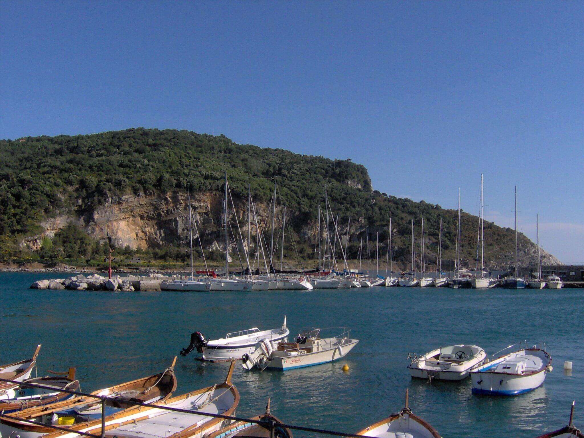palmaria.JPG