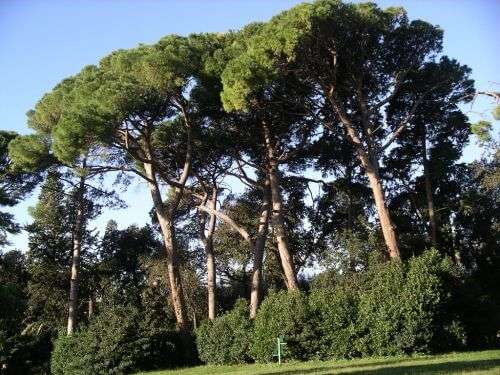 parchi di nervi
