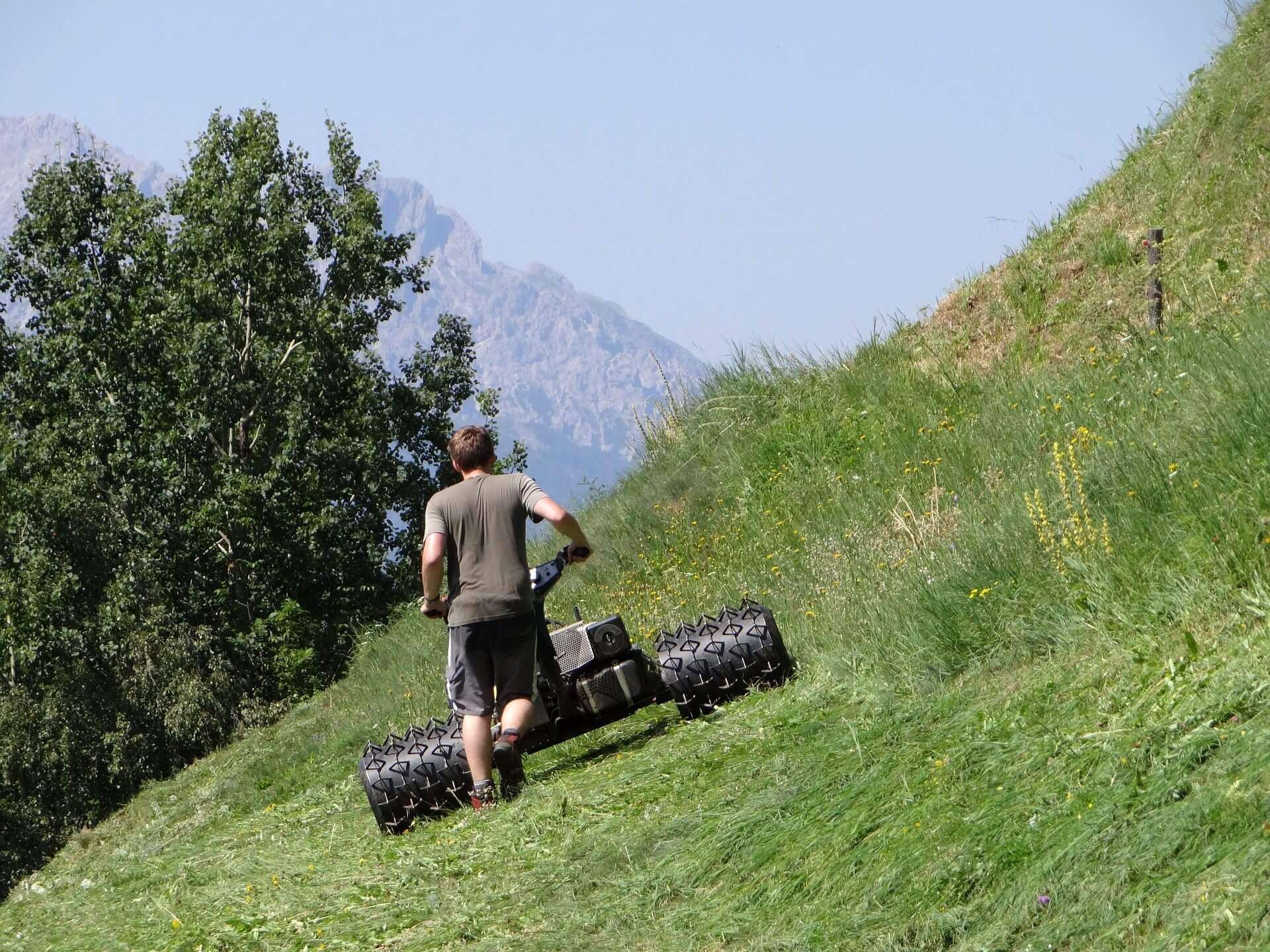 Agricoltura, agricoltore