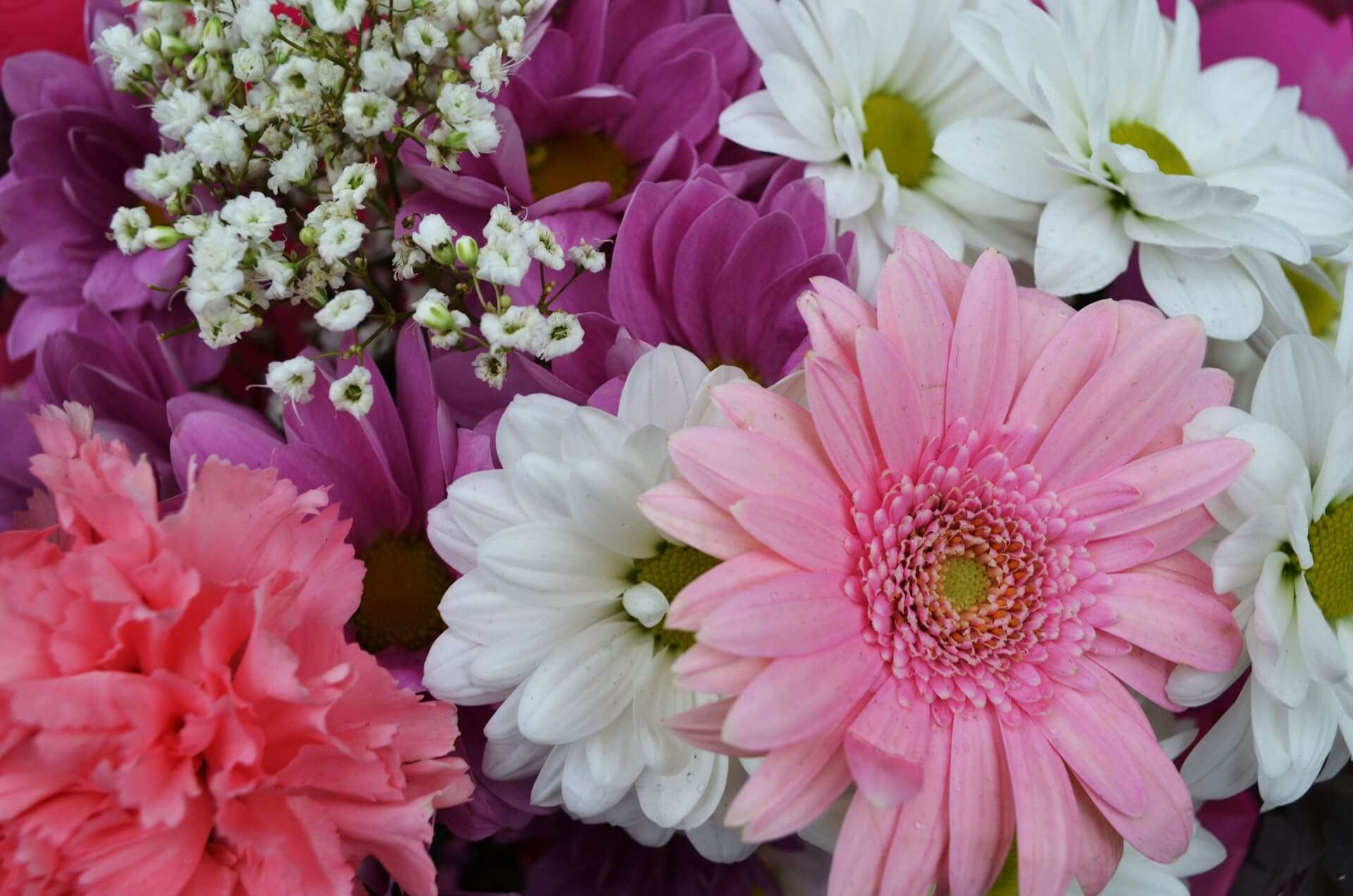 fiori