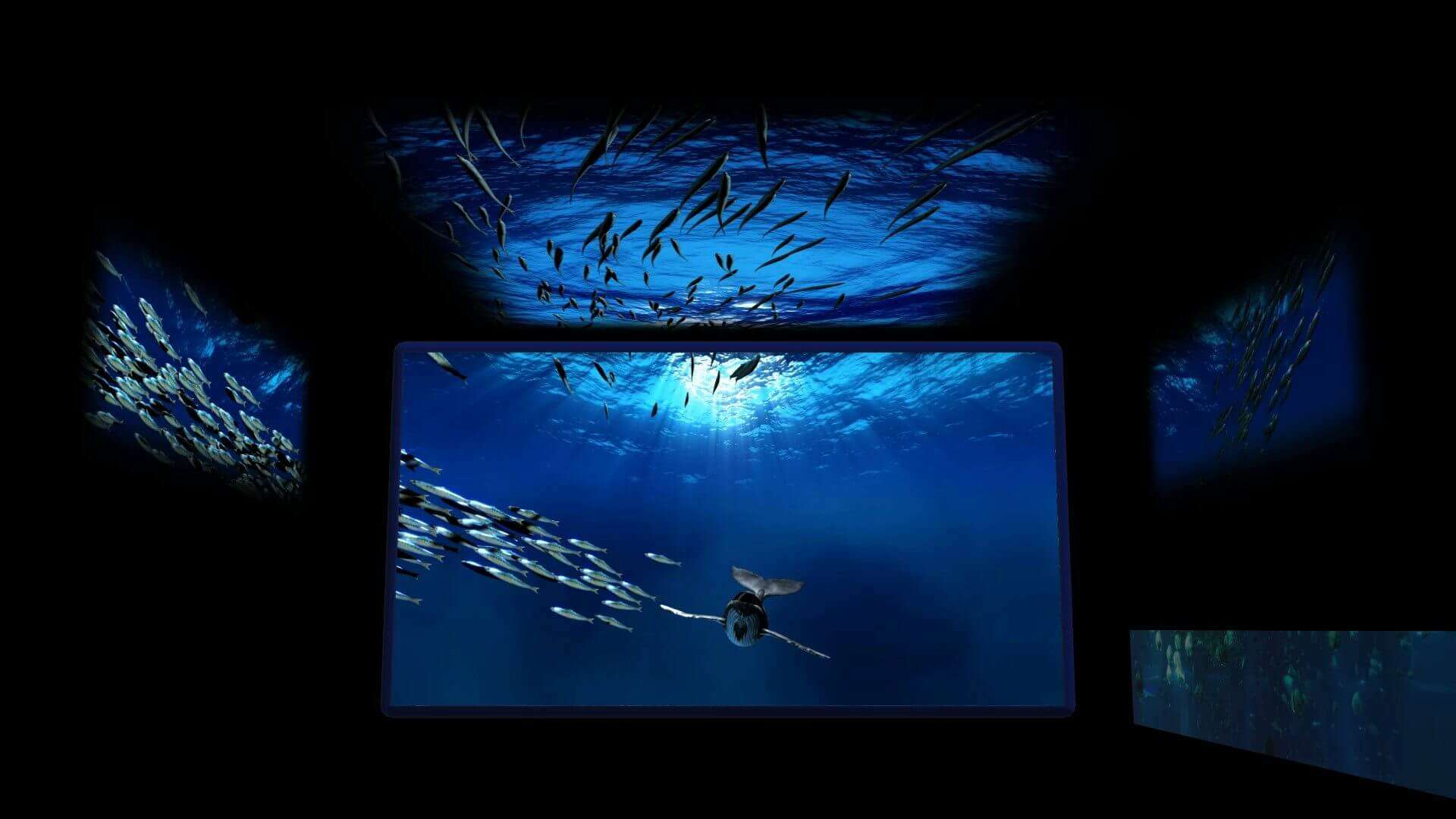 Acquario di Genova videomapping