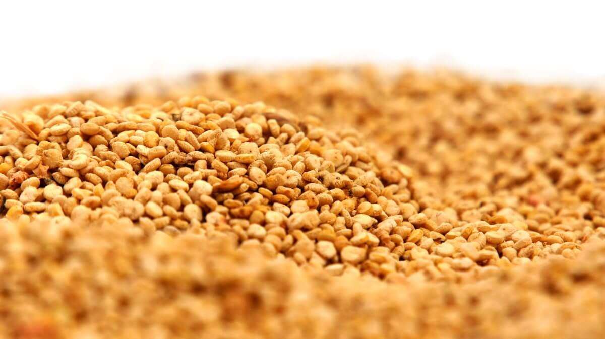 Chicchi di grano