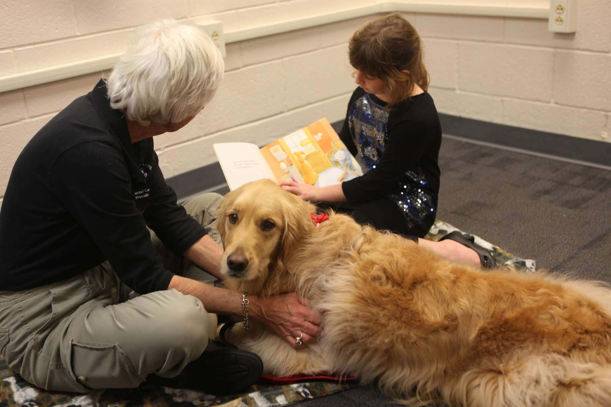 pet therapy