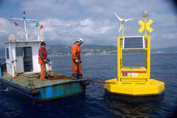 Posizionamento boe Whalesafe