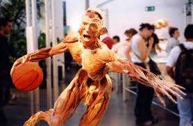body