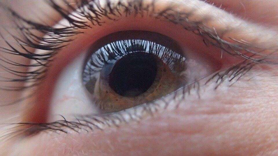 occhio retina