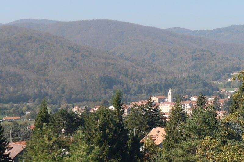 bardineto