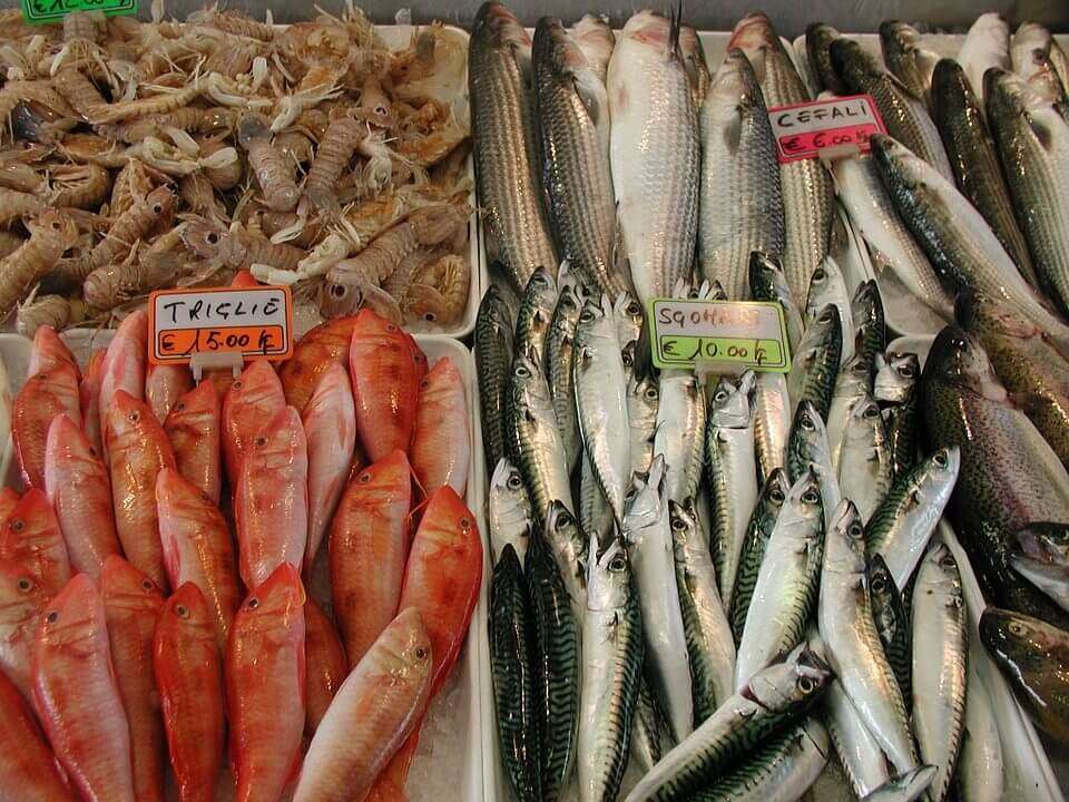 pesce