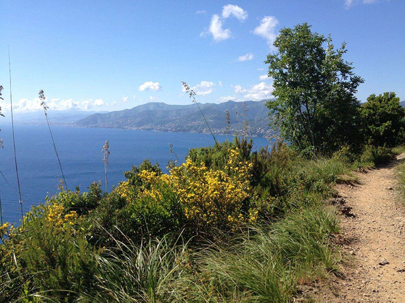 alta via