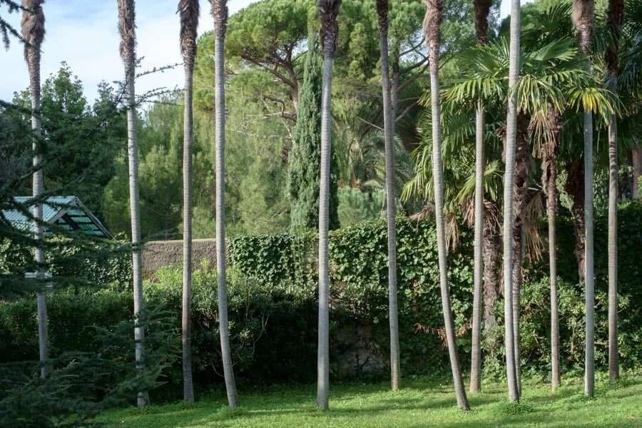 Parchi di Nervi
