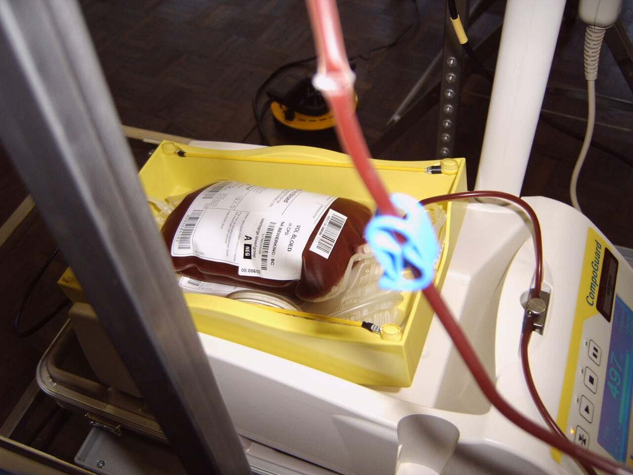 Sangue, sacca, trasfusione, donazione