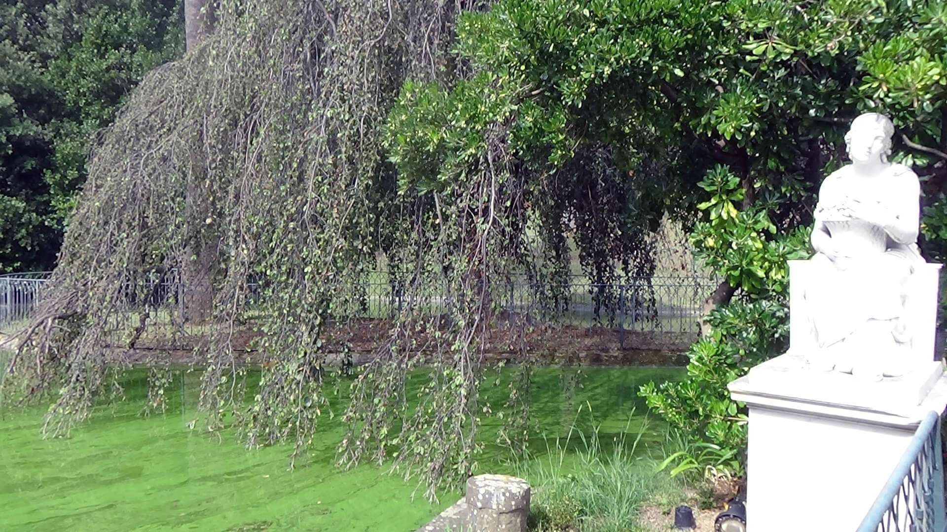 villa-pallavicini-approdo-al-giardino-di-flora