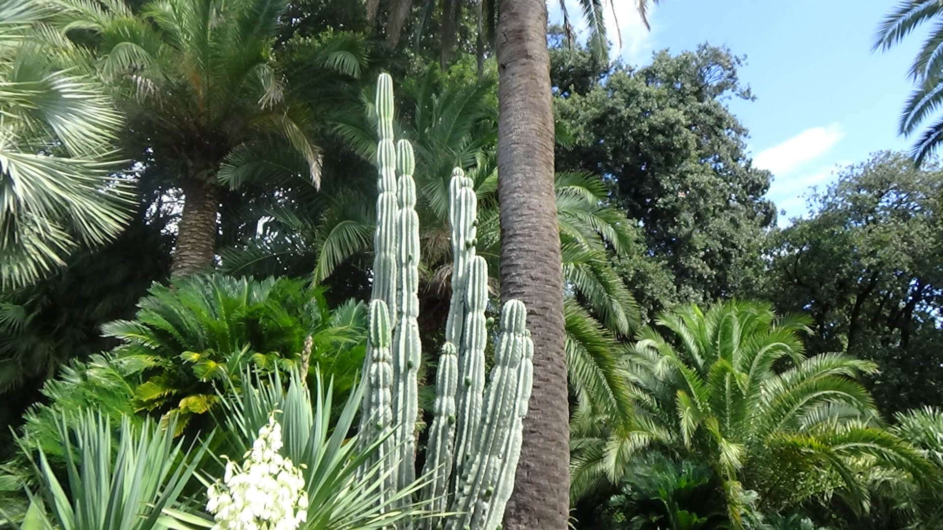 villa-pallavicini-vegetazione-1