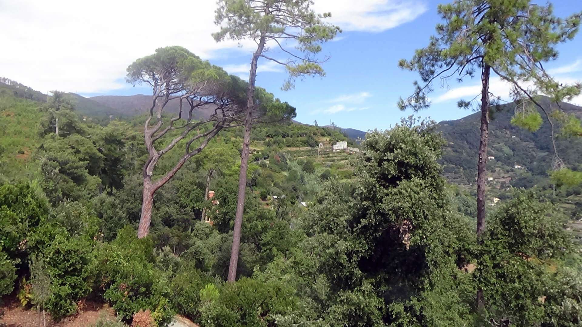 villa-pallavicini-vista-sullesterno-verso-il-feudo-del-capitano