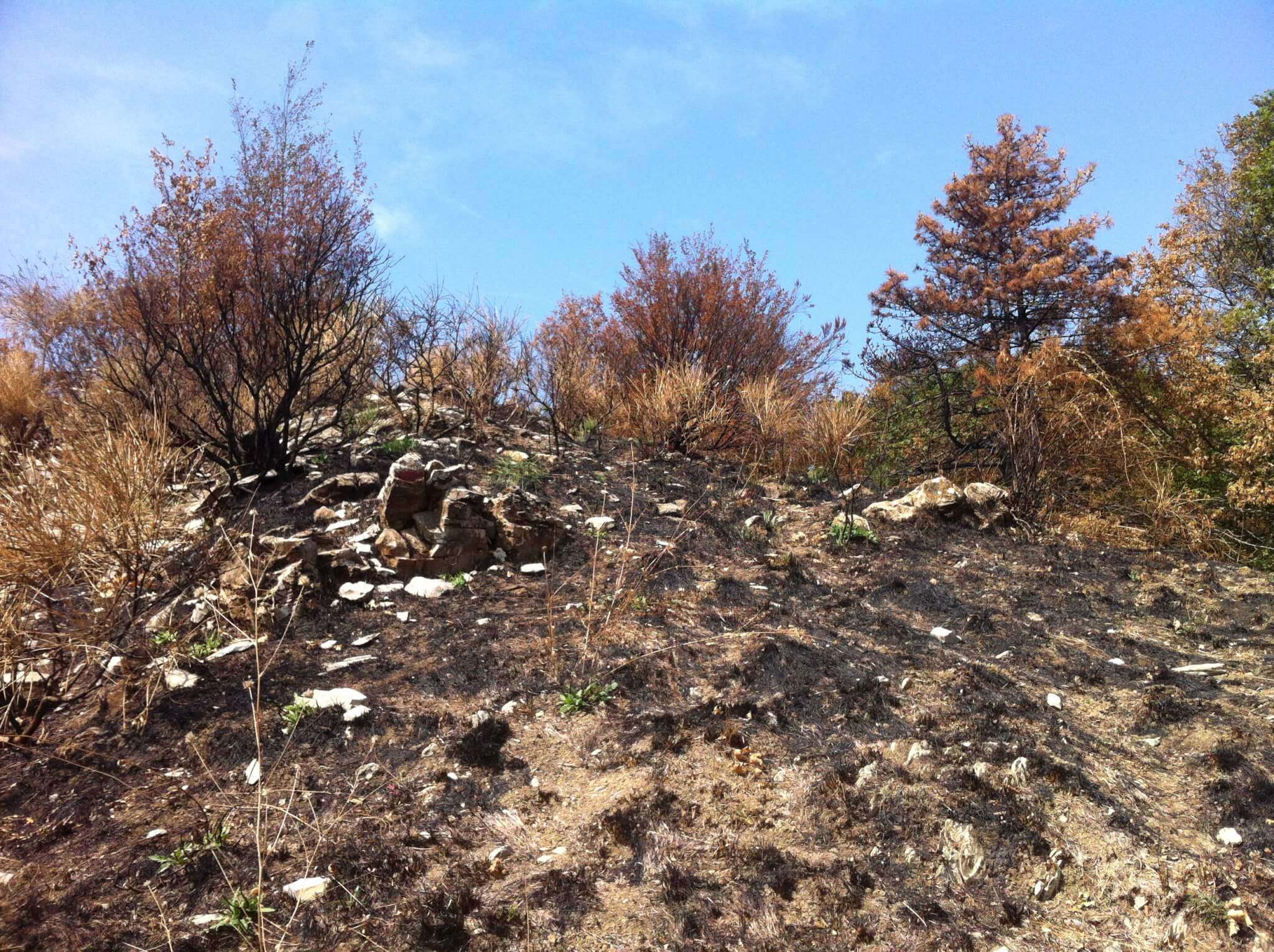 Post incendio