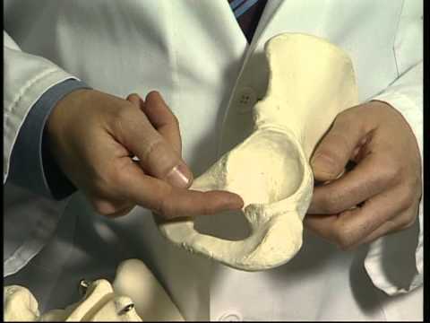 reumatologia medico salute