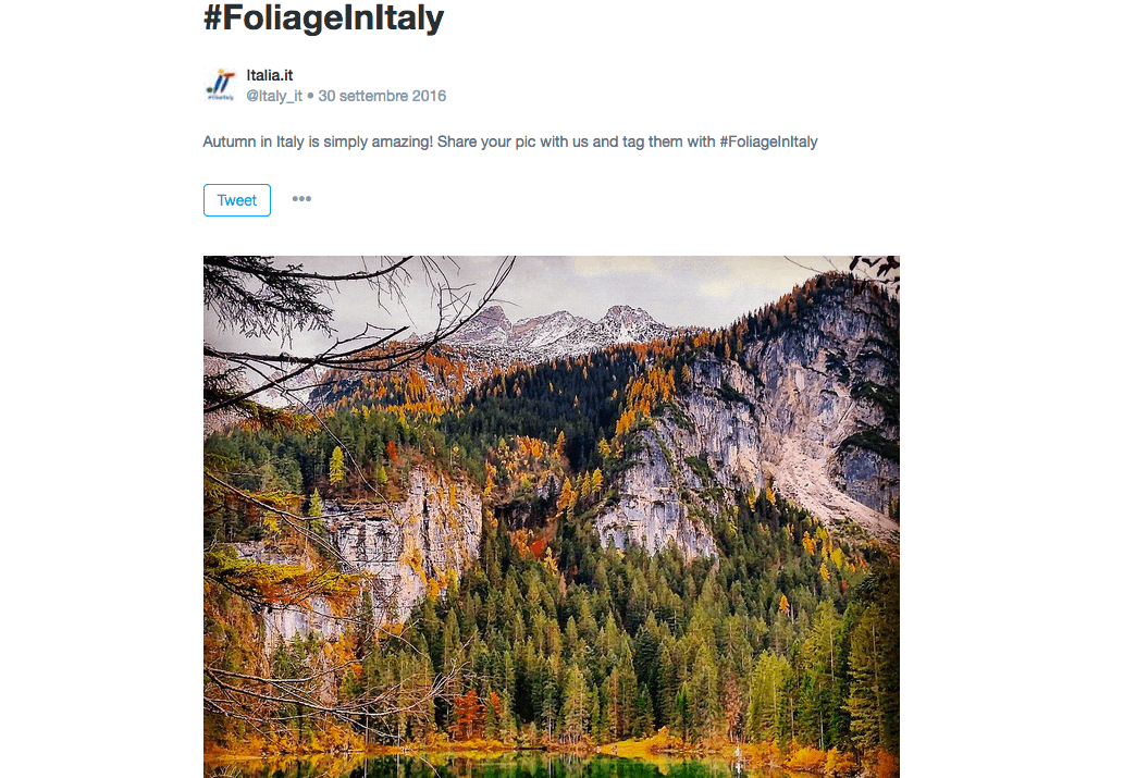Foliage in Italy