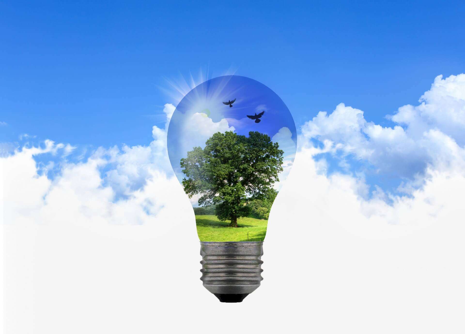 economia circolare, Idea, ambiente, energia verde