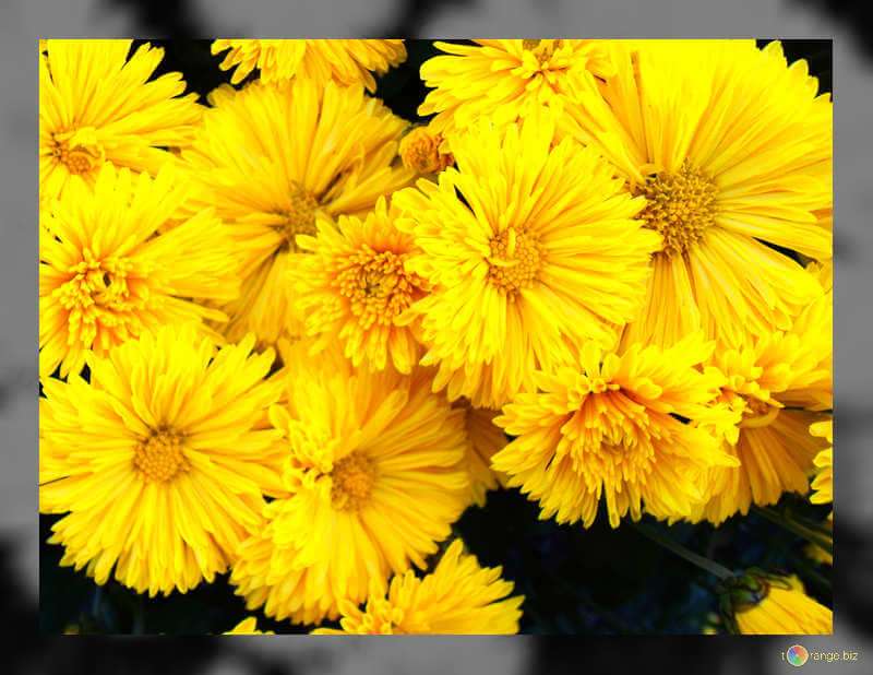 GEDSC DIGITAL CAMERA