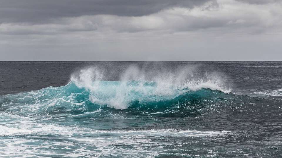 mare