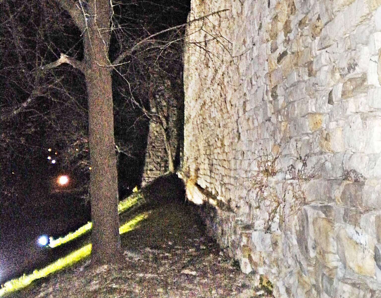 cinta muraria fortificazioni