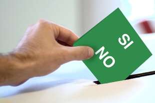 referendum