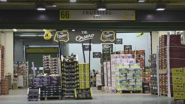 orsero-glenalta-frutta-gf-group-3