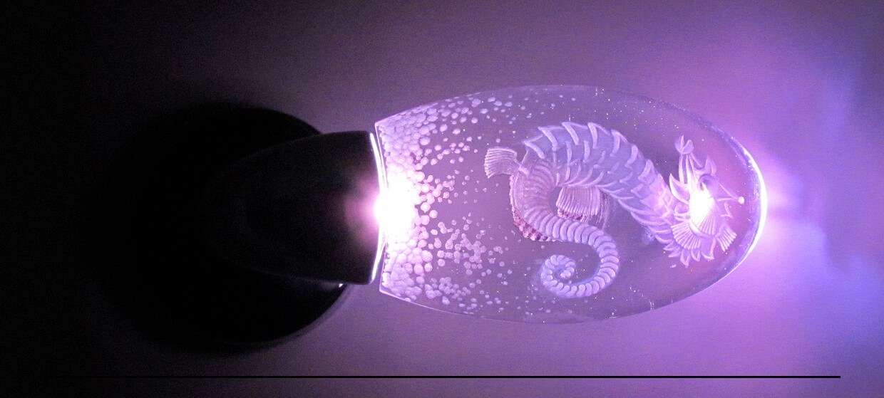 Maniglia cavalluccio viola
