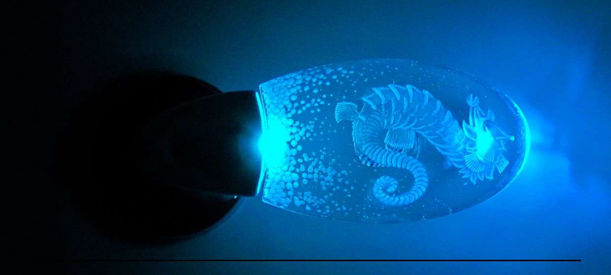 maniglia cavalluccio azzurro