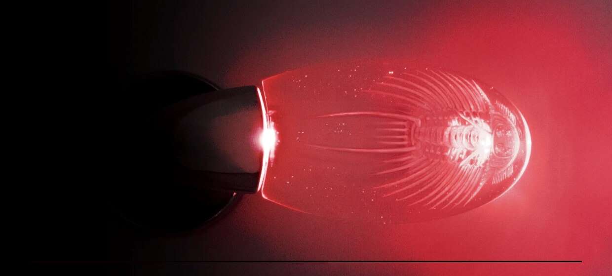Maniglia rossa