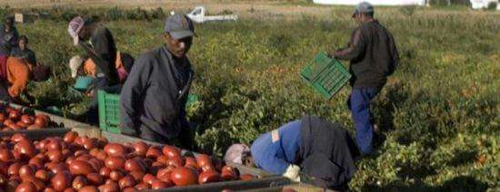 lavoratori_immigrati