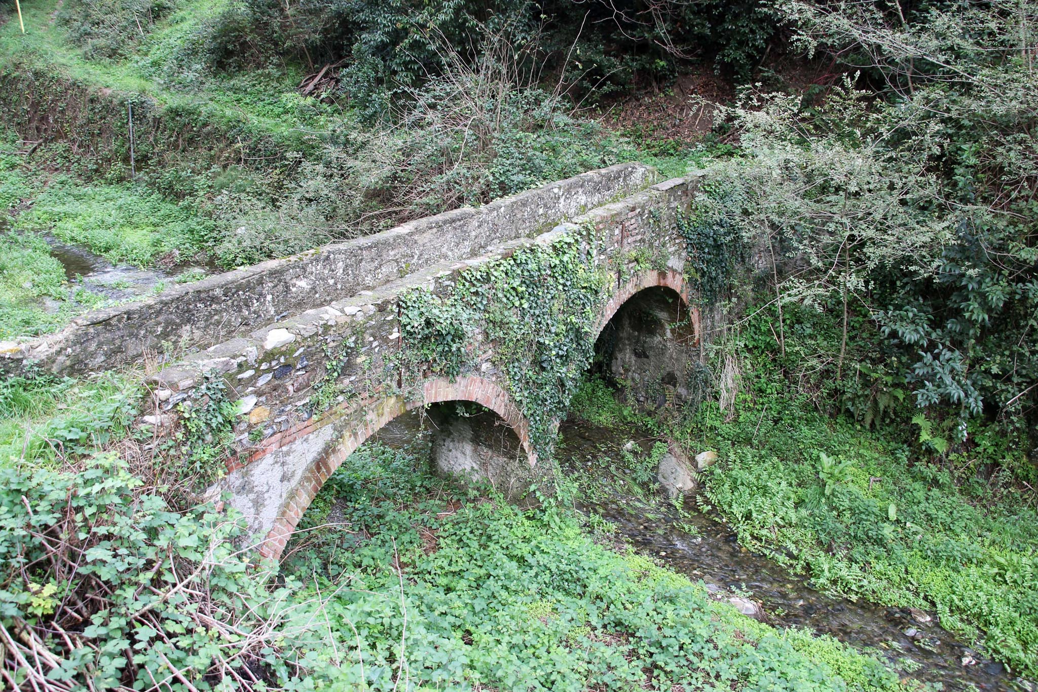ponte sul rio ciliegio