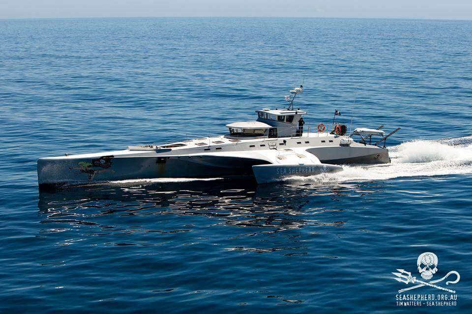 Brigitte Bardot, sea shepherd