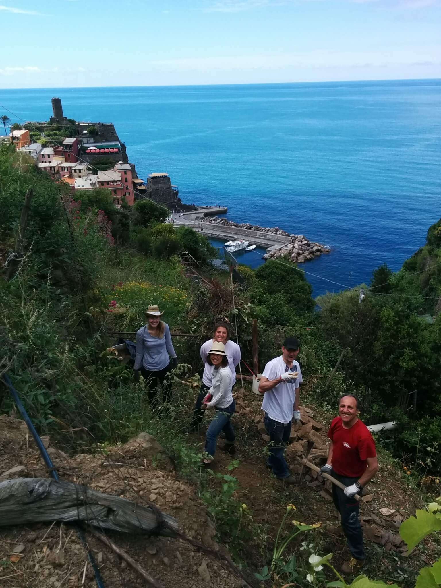 Cinque Terre, terrazzamenti, muri a secco