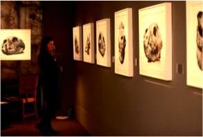 Tefaf 7