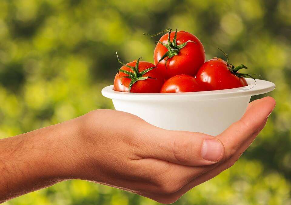 alimentare cibo spreco aiuto