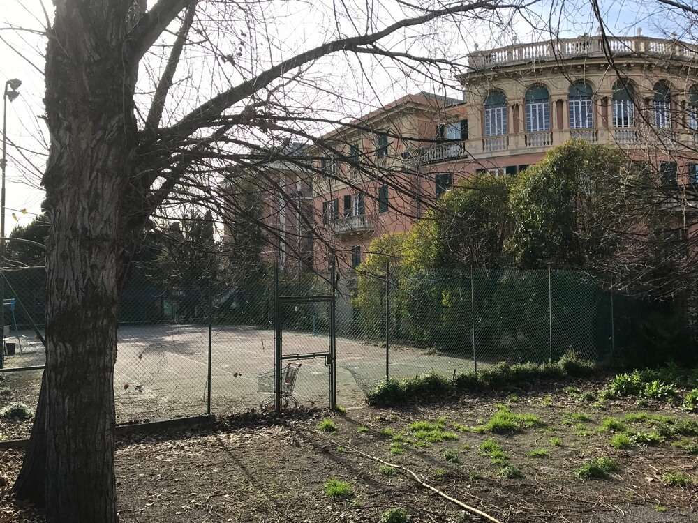 cataldi