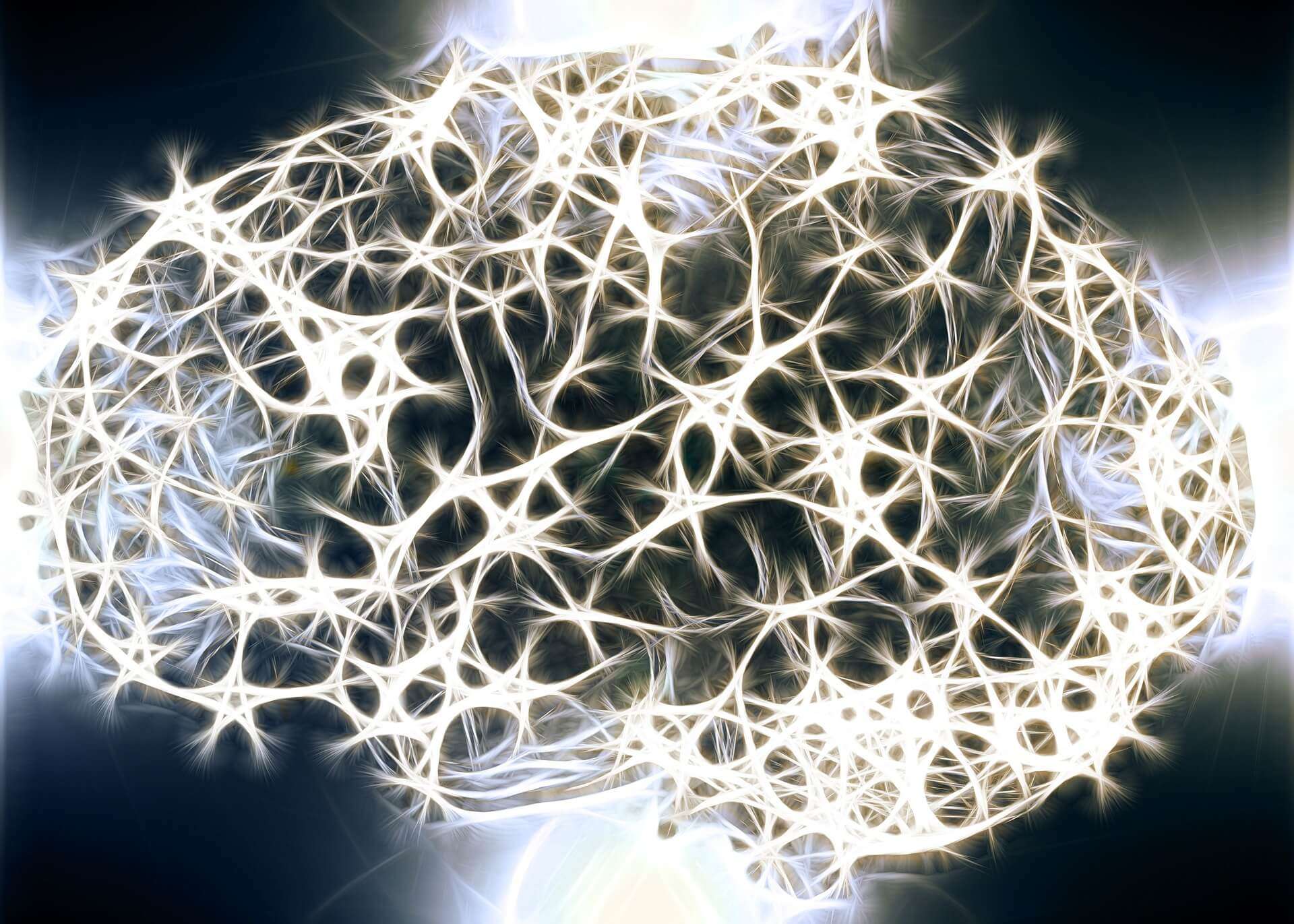 neuroni, cervello