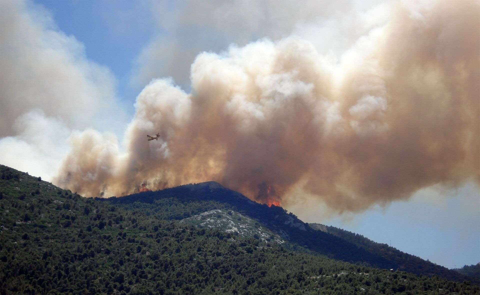 Incendio boschivo, canadair