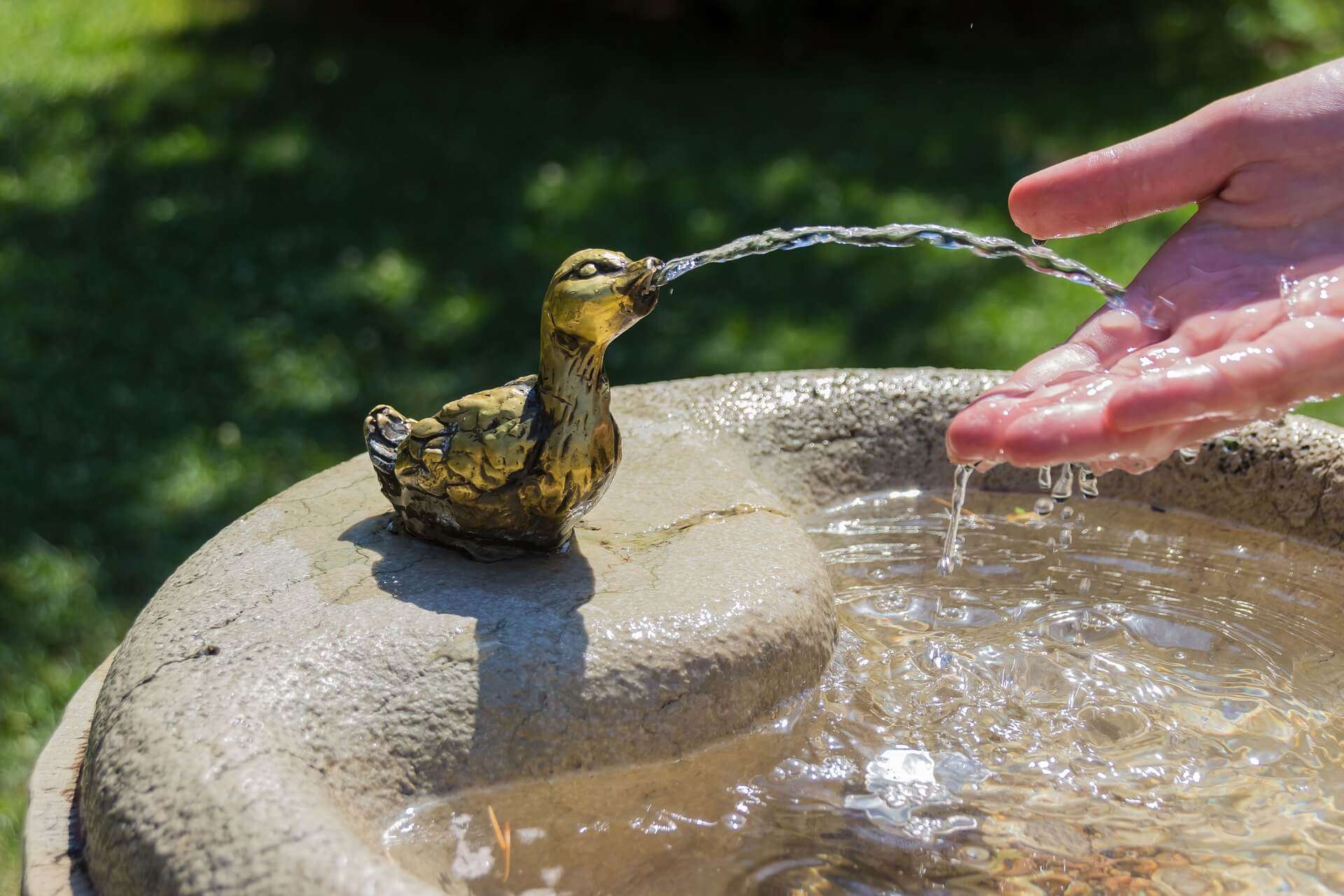caldo, acqua, fontanella, estate