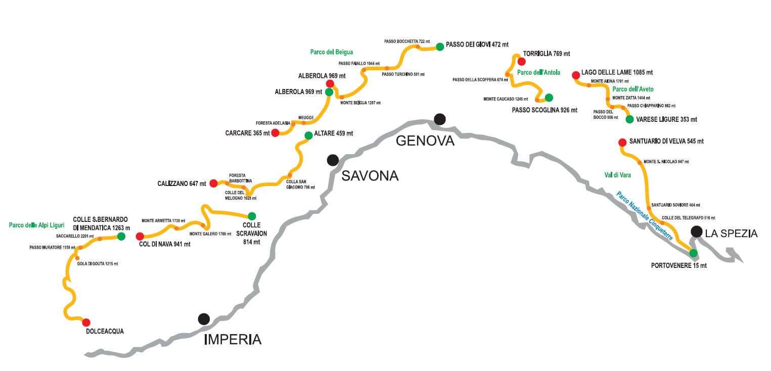 tappe-alvi-trail