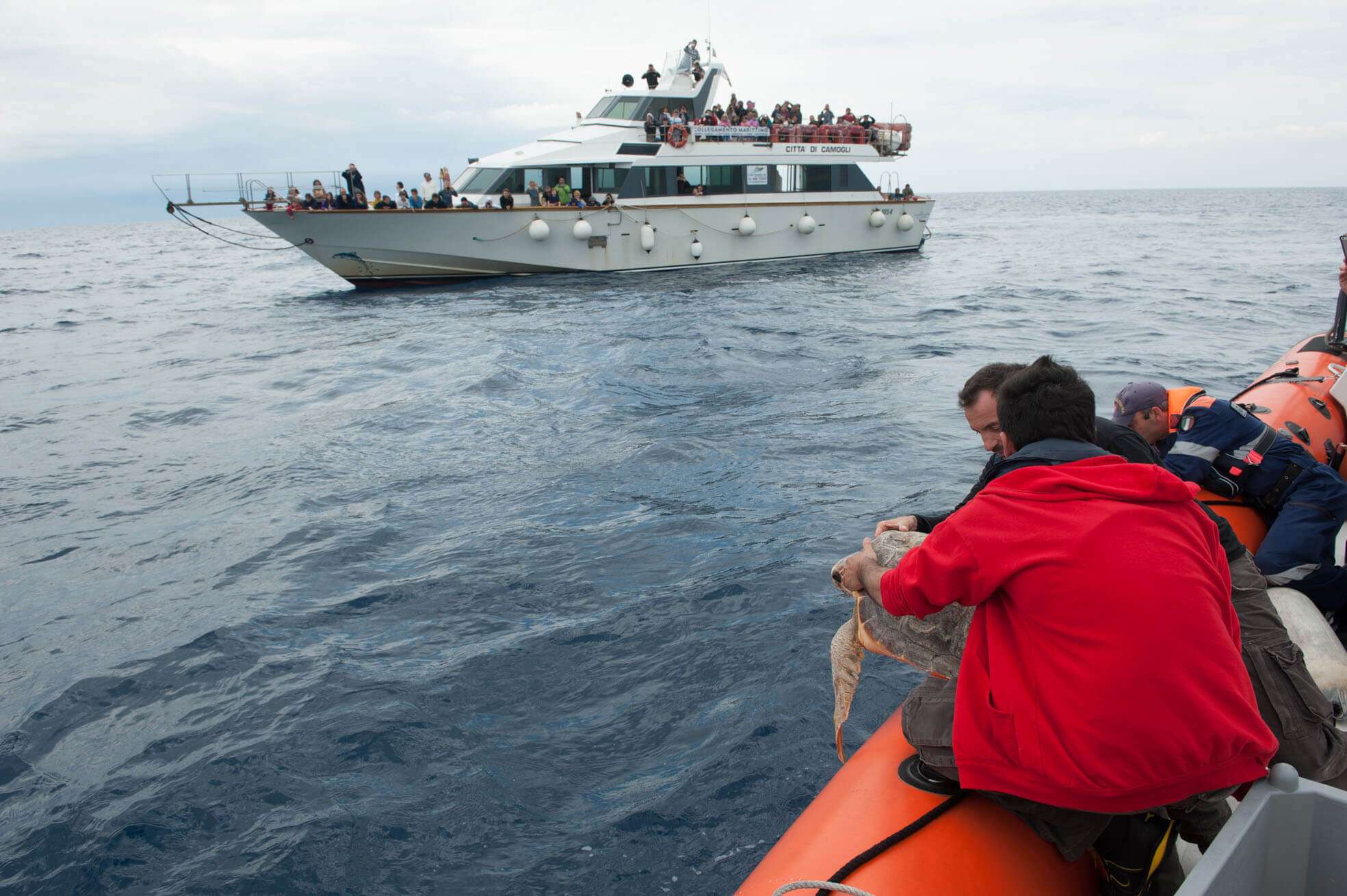 rilascio in mare Tartarughe Elica e Claretta