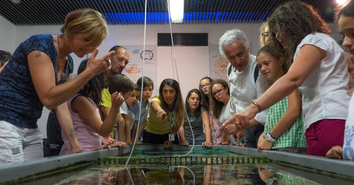 Dietro le quinte laboratorio