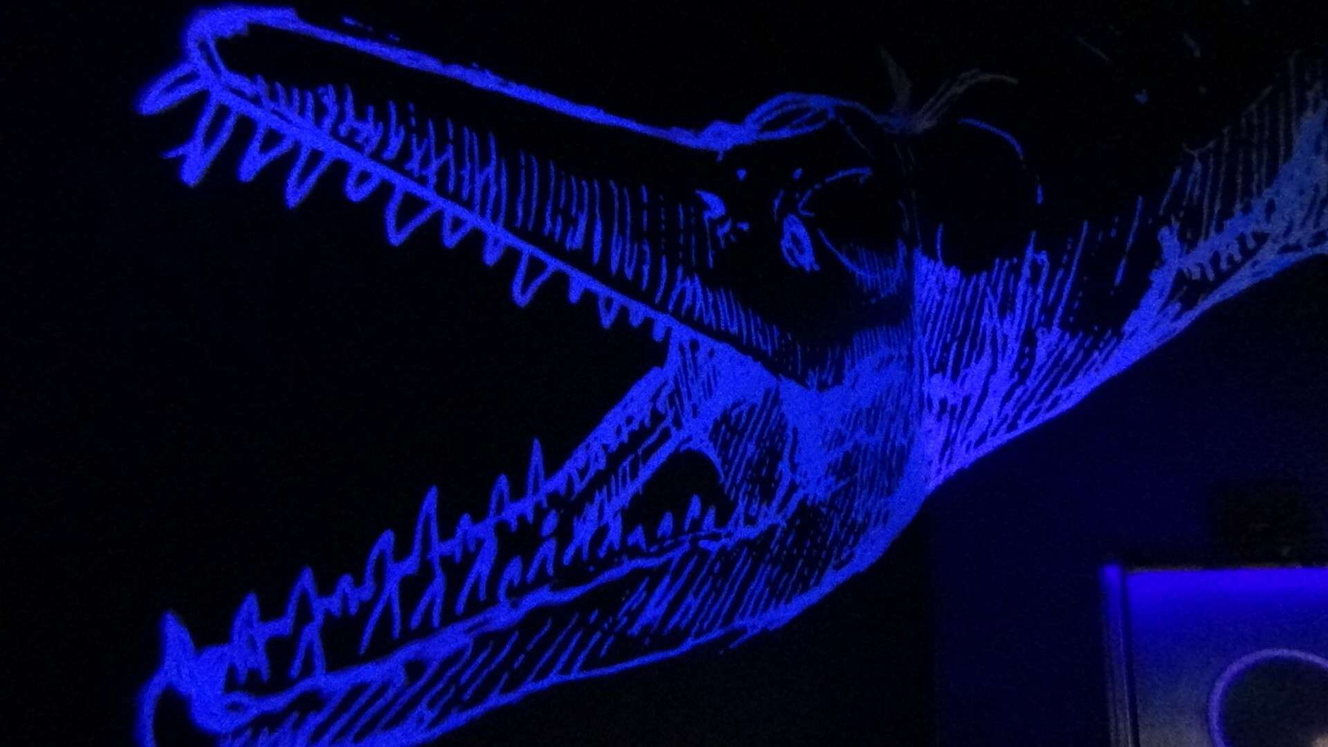 Paleoacquario (14)